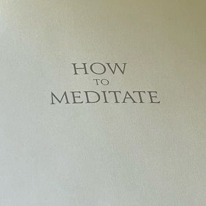 How To Meditate- Pema Chodron